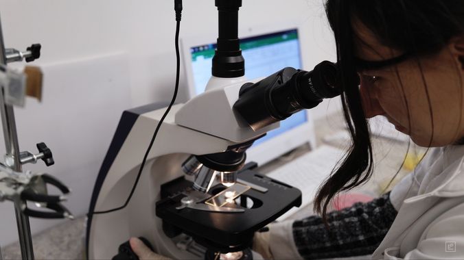 A researcher at a laboratory microscope